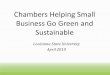 Chambers Helping Small Business Go Green and … Helping Small Business Go Green and Sustainable Louisiana State University April 2010 Aaron Nelson, IOM Founder and Senior Fellow,