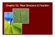 Chapter 21: Plant Structure & Function · Chapter 21: Plant Structure & Function ... for water transport in plants; based on molecular properties of water and transpiration. – Roots