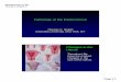 Pathology of the EndometriumPathology of the Endometrium · Pathology of the EndometriumPathology of the Endometrium ... Most common diseases: ... are identified