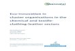 Eco-innovation in cluster organisations in the … and textile- clothing-leather ... The qualitative study ^Eco-innovation in cluster organisations in the chemical and ... synthetic