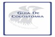 GUIA DE COLOSTOMIA - ostomysocal.org · Encontrarás un glosario al final del libro que ayudará a explicar ... de ostomía u otra enfermera, son fuentes importantes de información