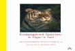 Endangered Species: A Tigerâ€™s Tail - Teacher conservation and protection of all creatures created by God. ... listening, and speaking ... Endangered Species: A Tiger's Tail