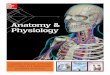 Anatomy & Physiologyecommerce-prod.mheducation.com.s3.amazonaws.com/unitas/school/...Anatomy & Physiology Understandin ... Anatomy and Physiology text and is best suited for a 