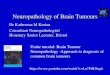 Neuropathology of Brain Tumours  of Brain Tumours ... Neuropathology -Approach to diagnosis of common brain tumours https: ... with a facial droop 