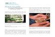 Saw Palmetto Plant Guide - USDA · Web viewPlant Guide Common Beargrass Xerophyllum tenax (Pursh) Nutt. Plant Symbol =XETE Contributed by: USDA NRCS National Plants Data Team, Davis,