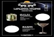 Laplandia Eclipse · 4 cl Laplandia Eclipse Honey Cucumber peels Lime zest 4 cl Laplandia Eclipse Simple syrup Basil leafs GALJA NARVI Laplandia Eclipse Premium Vodka