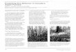 Predicting Fire Behavior in Canada's Aspen Forests1cfs.nrcan.gc.ca/pubwarehouse/pdfs/11081.pdfPredicting Fire Behavior in Canada's Aspen Forests1 Martin E. Alexander! and Murray E