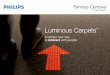 Luminous Carpets TM - Amazon Web Services · Luminous Carpets combine Philips LED technology with ... Luminous CarpetsT How it works 8 ... on-the-job training for your people