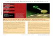 The Nanotech Revolution in Drug Delivery - Cientifica Delivery White Paper.pdf · The Nanotech Revolution in Drug Delivery ... There are 58 case studies on nano- ... and are regarded
