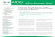 AfDB Africa Economic Brief · Africa Economic Brief I Introduction Despite being a source of income to about 43 ... “Overview of Informal Trade in the SADC Region: Where are we