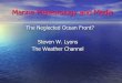 Marine Meteorology and Media - Texas A&M Universitygcoos.tamu.edu/meetingreports/2004_mar/documents/Lyons2.pdfMarine Meteorology and Media ... • Many are “novice” mariners! 