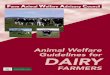 Animal Welfare DAIRY - FAWAC - Home · Animal Welfare Guidelines for DAIRY FARMERS ... Herd health programmes should form an essential part of a modern dairy herd management system