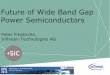 Future of Wide Band Gap Power Semiconductors - … · Future of Wide Band Gap Power Semiconductors Peter Friedrichs, ... Low cost – perform ratio Silicon IGBT 30V…300V 600V 1200V