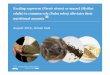 August 2016, Jeroen Kals - EAAP ragworm (Nereis virens)or mussel (Mytilus edulis) to common sole (Solea solea) alleviates their nutritional anaemia August 2016, Jeroen Kals ... Introduction