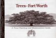 tree guide - Fort Worth, Texasfortworthtexas.gov/uploadedFiles/PACS/Forestry/TreeGuide-English.pdf · all trees, shrubs, and woody vines during the dormant SeaSOri, from late fall