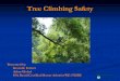 Tree Climbing Safety - hawaii.gov · Tree Climbing Safety Too often, ... • Tie-ins at separate locations . Climbing Safety False crotch may be used if natural crotch not available/suitable