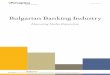 Bulgarian Banking Industry - Percepticaperceptica.com/.../2012/...Bankingindustry_150512.pdf · performance and vital role in the Bulgarian banking industry drove the high ... regarding