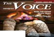 T VOICE December - January 2018 - Arbor Vie€¦ · December - January 2018 Arbor View • The Voice 3 ... Safety/Speed Control Committee ... • Download a copy from the “portal”