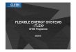 FLEXIBLE ENERGY SYSTEMS - FLEX · Flexible Energy System Storage Demand Response Integrated Networks Flexible Generation Flexibility options in the future energy system Systemic value