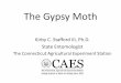 The Gypsy Moth - Connecticut€¦ · Gypsy Moth Arrival in Connecticut • Gypsy moth, Lymantria dispar, was first brought into the US (Medford, MA) from France around 1869 by Etienne