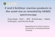 P and S fertilizer reaction products in the seed-row as …€¦ ·  · 2016-09-02P and S fertilizer reaction products in the seed-row as revealed by XANES ... ammonium sulfate,