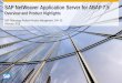 SAP NetWeaver Application Server for ABAP 7a248.g.akamai.net/n/248/420835/3166e53effe53f1a2e175c89b3644d46d… · SAP NetWeaver Application Server for ABAP 7.5 ... Efficient programming