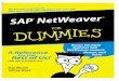 SAP NetWeaver for Dummies - cdn.ttgtmedia.com · Part II: The Cast of Components .....2 Part III: A Nifty Development Toolkit ... Chapter 7: Composite Applications and SAP xApps: