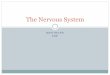 The Nervous System - Linn–Benton Community Collegecf.linnbenton.edu/mathsci/bio/jacobsr/upload/Nervous...The Nervous System Protection of the Brain Bone (skull) Membranes (meninges)