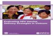 Evaluating HPV Vaccine Delivery Strategies in Vietnam · Evaluating HPV Vaccine Delivery Strategies in ... iv Evaluating HPV Vaccine Delivery Strategies in Vietnam ... there are two