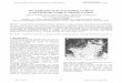 The Application of the Surrounding Landform to the ... · The Application of the Surrounding Landform ... to study how site elements and architectural elements ... In this chapter,