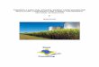 TOWARDS A SADC FUEL ETHANOL MARKET FROM … · TOWARDS A SADC FUEL ETHANOL MARKET FROM SUGARCANE: REGULATORY CONSTRAINTS AND A ... 4.6 Trade agreements and SADC ethanol production