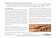 PUBLICATION 444-502 Subterranean Termite Biology and … · 2 Subterranean Termite Castes Primary Reproductives As described above, mature subterra-nean colonies, at certain times