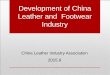 Development of China Leather and Footwear Industry€¦ ·  · 2015-10-131 Overview of China Leather and Footwear Industry • 2 Challenges and Opportunities Facing the Industry