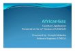 AfricanGaz - United Nationsunstats.un.org/unsd/geoinfo/UNGEGN/docs/25th-gegn-docs/... · AfricanGaz yIs a namename ... Adobe Flex AIR/ActionScript 3.0 yRDBMS: SQLite yGPLGPL : no