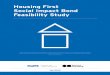 Housing First Social Impact Bond Feasibility Study · Fall 2014 Housing First Social Impact Bond Feasibility Study Is the Social Impact Bond model a suitable mechanism to fund a Housing