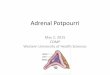 Adrenal Potpourri - Western University of Health Sciences · Melmed, 2011 (Williams Textbook) Williams, R. H ... CT, computed tomography; DEX, dexamethasone; MRI, magnetic resonance