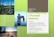 The Recreational Value of Forests - Bayfield County€¦ · PPT file · Web view · 2017-07-17Recreational Forest Values Outline: ... Other natural resource values: ... How can