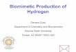 Biomimetic Production of Hydrogen · Electrolysis of water – most obvious ... D. J. Am. Chem. Soc. 1997, 119, 1400-1405. ... Biomimetic Production of Hydrogen