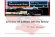 Effects of Stress on the Body - Weeblydrmanatomy.weebly.com/uploads/1/5/4/7/15477822/22_-_stress.pdf•Adrenalin (epinephrine) is released by the adrenal glands ... •Higher and more