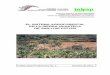 EL SISTEMA AGROFORESTAL EN LA SIERRA …campopotosino.gob.mx/modulos/Docs-descargar/FOLL. PROD. 001.pdf · El sistema agroforestal es aplicable en la Sierra ... cubierta vegetal protege