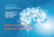 IPPC V1 (23.3.2016) - TodayIR.com · This presentation has been prepared by Comba Telecom Systems Holdings Limited (the “Company”) ... operator demand for antennas and subsystems