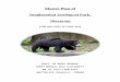 Master Plan of Junglemahal Zoological Park, Jhargram · 1 Master Plan of Junglemahal Zoological Park, Jhargram FOR 2015-2016 TO 2035-2016 GOVT. OF WEST BENGAL WEST BENGAL ZOO …