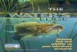 The Water's Edge Helping fish and wildlife on your ... · Helping fish and wildlife on your lakeshore property EDGE THE Michigan Department of Natural Resources and Environment. 2