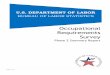 Occupational Requirements Survey - The United States ... 2 Report... · 1 | P a g e U.S. DEPARTMENT OF LABOR BUREAU OF LABOR STATISTICS Occupational Requirements Survey Phase 2 Summary