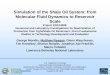 Simulation of the Shale Oil System: from Molecular Fluid ... Library/Events/2016/fy16 cs rd/Wed...Simulation of the Shale Oil System: from Molecular Fluid Dynamics to Reservoir Scale