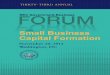ON Small Business Capital Formation - sec.gov · 17.11.2014 · capital formation issues that the small business sector is ... them before including them in the Forum Final ... as