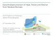 Decentralised provision of Heat, Power and Biochar … provision of Heat, Power and Biochar from Residual Biomass 3rd FIT Platform on Powering a Greener Future Bangalore 22th November