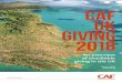 CAF UK GIVING 2018 detail than ever before at patterns of giving. We see that although total donations are slightly up, the number of people giving has fallen. It’s far too soon