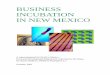 BUSINESS INCUBATION IN NEW MEXICOasalazar/incubator/incub_wellborn.pdfsuccess of a proposed incubator will depend not only on the unique economic and other characteristics of the 