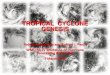 TROPICAL CYCLONE GENESIS (FORMATION)severe.worldweather.wmo.int/TCFW/.../11_TC_Genesis... · Todd B. Kimberlain and Richard J. Pasch WMO RA-IV Workshop on Hurricane Forecasting &